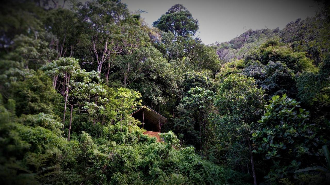 Chalet In The Jungle Pallegama Екстер'єр фото