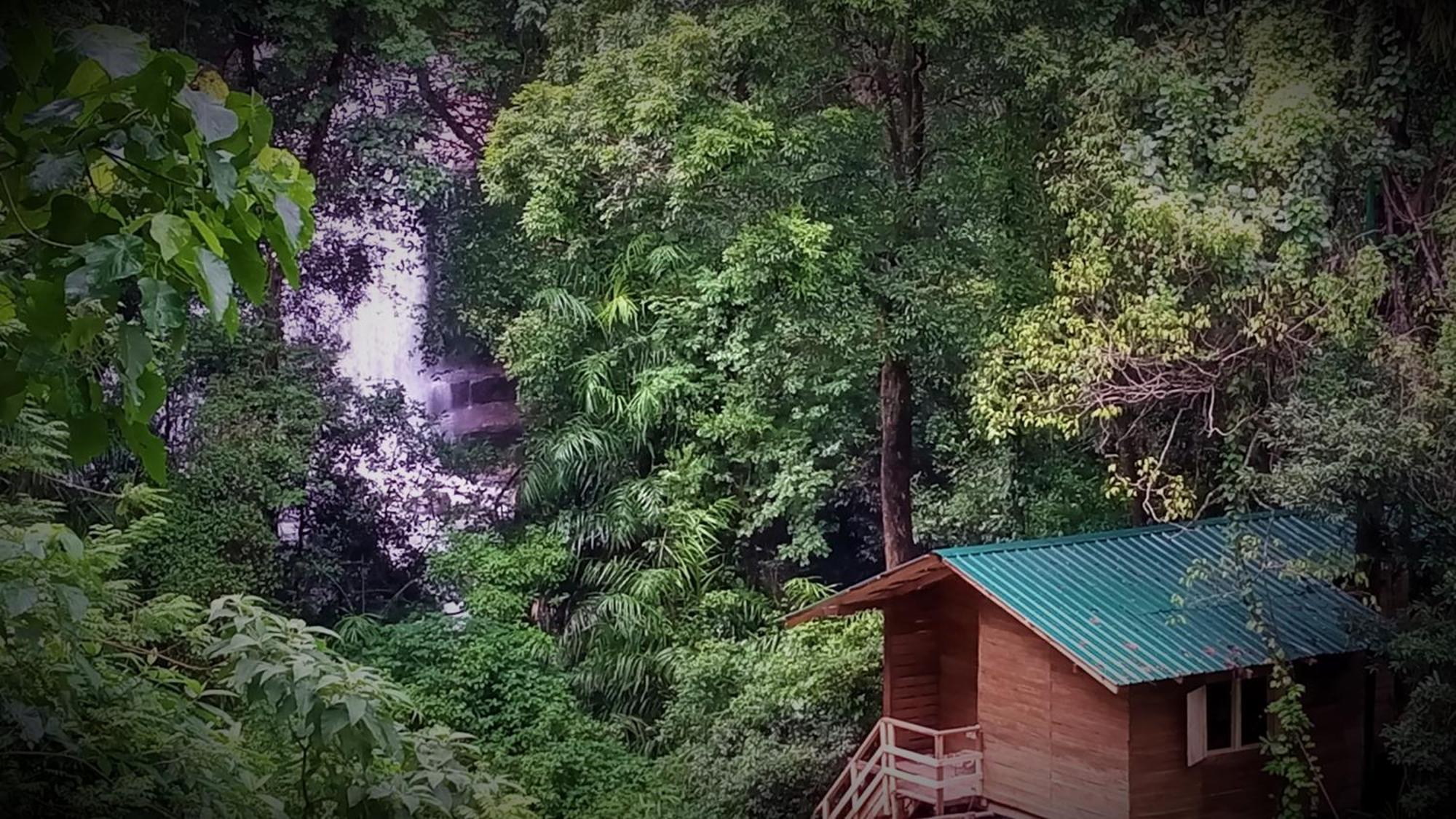 Chalet In The Jungle Pallegama Екстер'єр фото
