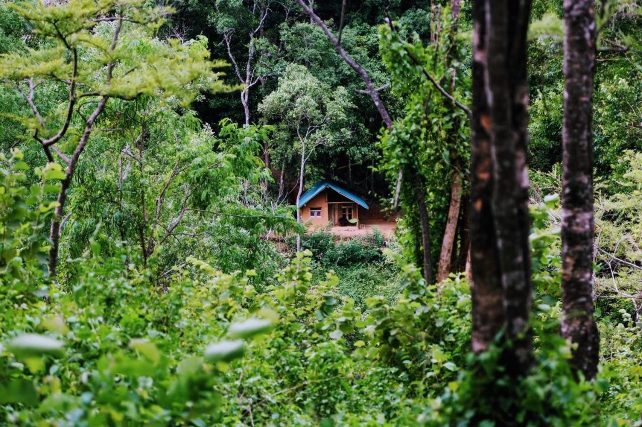 Chalet In The Jungle Pallegama Екстер'єр фото