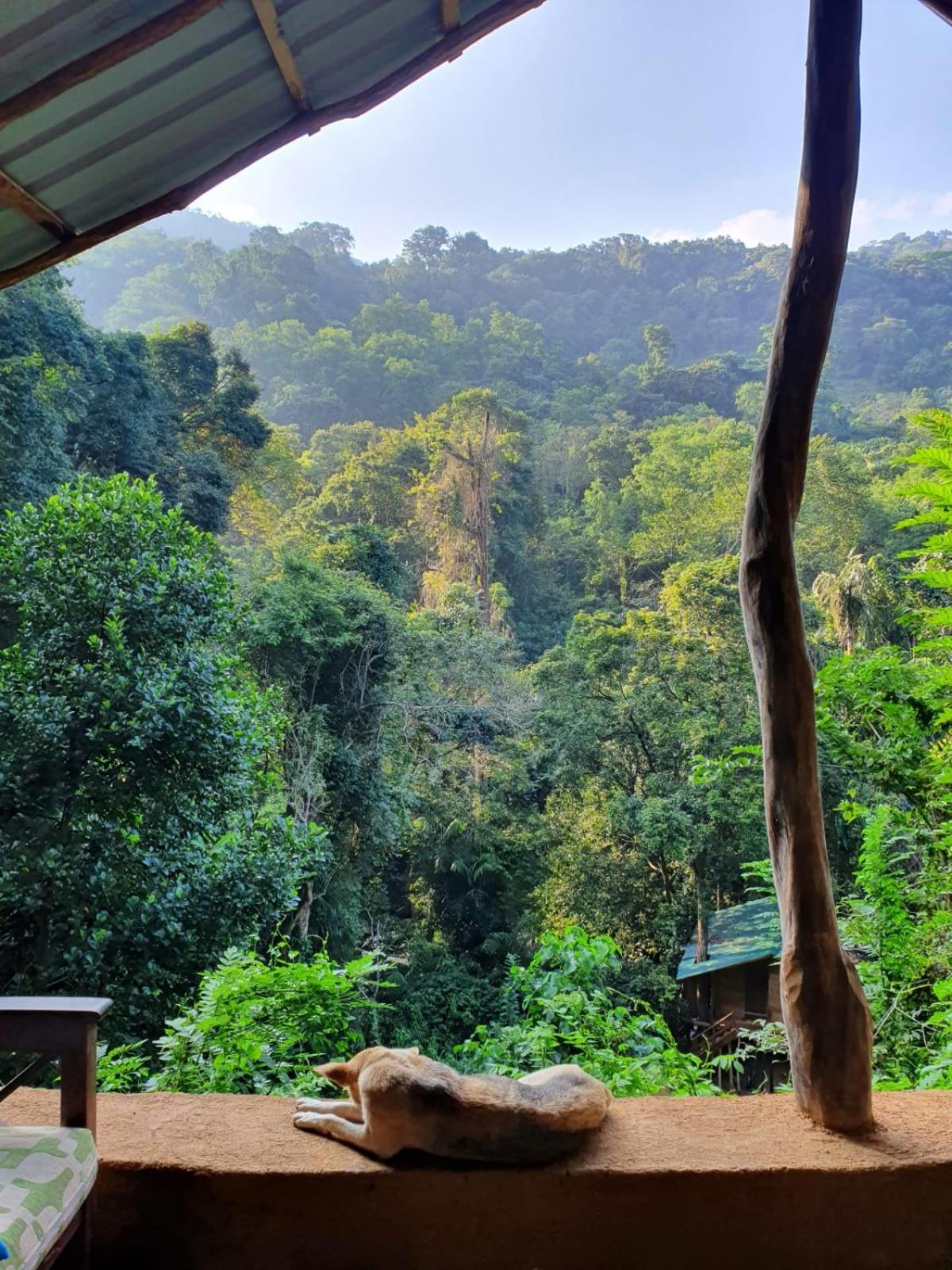 Chalet In The Jungle Pallegama Екстер'єр фото