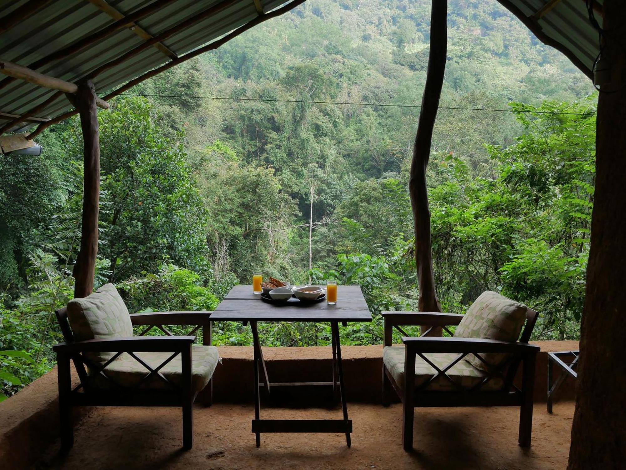 Chalet In The Jungle Pallegama Номер фото